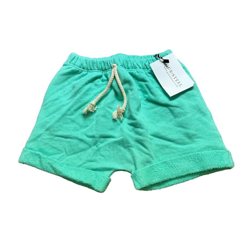 NWT Gus + Steel Mint Rolled Hem Shorts 4T